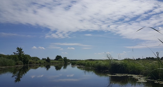 Giethoorn vegetation